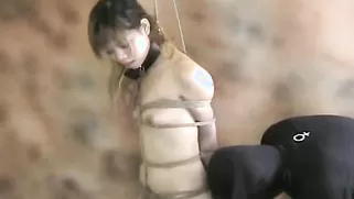 Fully Bounded Asian Brunette Shows Her Flexibility For The Master