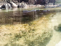 THEIR LAKE SHARED SECRET