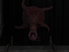 Barnacle Vores Irelia