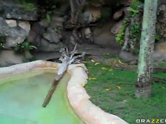 '' Follow Black'$ Day '' ''