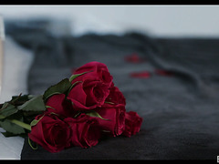 Astonishing Blondie Giselle Palmer Makes Love With Black Boy