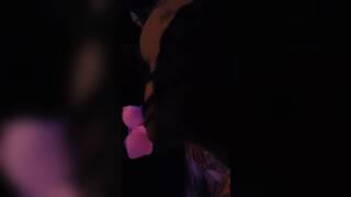 Pussy Eating Fucking Sucking And More