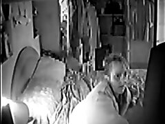 House Sitter Back For More