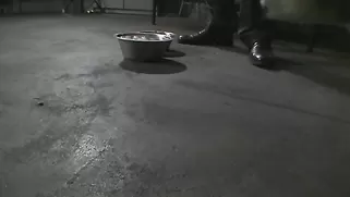 Stunning Submissive Hottie With Big Jugs Enjoys Her Master