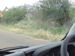 Cute Black GF HARDCORE Deep Throated