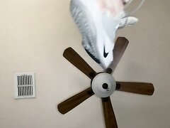 Jock Taking Off Smelly Gym Shoes And Smelly Black Socks